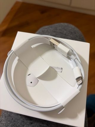 Cavo Lightning Apple Originale