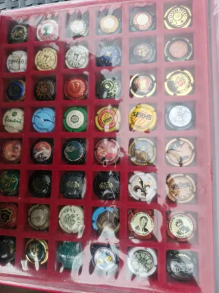 Colección Chapas Cava