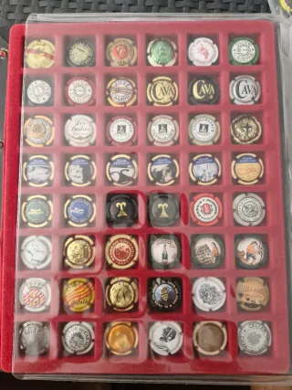 Colección Chapas Cava