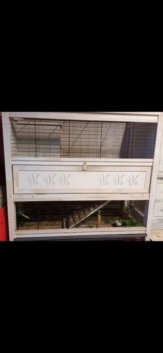 Casa madera conejo/cobaya 2 niveles