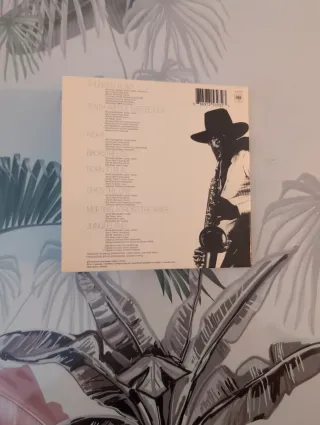 CD Bruce Springsteen Born to Run