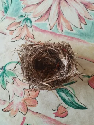 Nido de pájaro decorativo