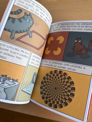 La conquista de los gatos