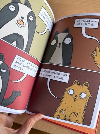 La conquista de los gatos