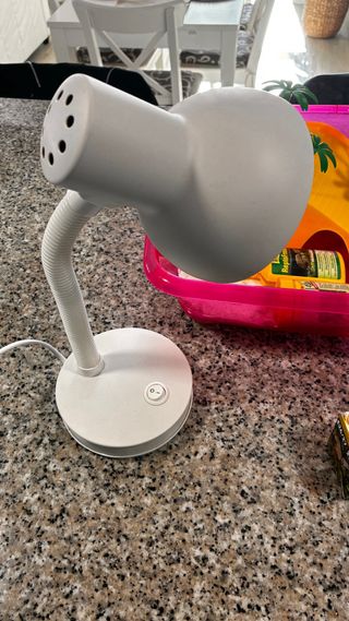 Tortuguera con accesorios