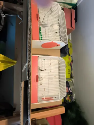 Gabbie per uccelli rosa e bianche