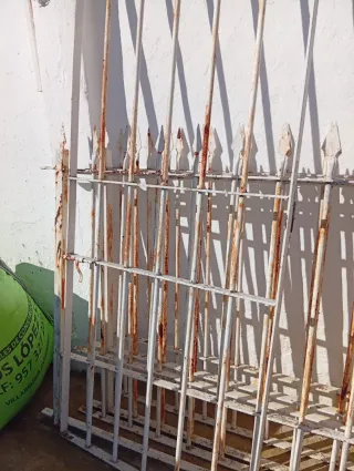 Rejas de forja y puerta