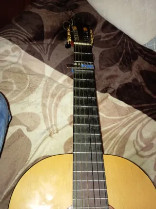 Guitarra Modesto Malla CHATA.