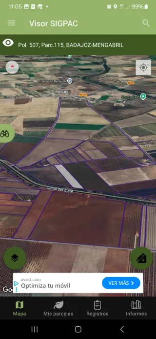 Dos parcelas contiguas. 5,5 Hectáreas en Mengabril