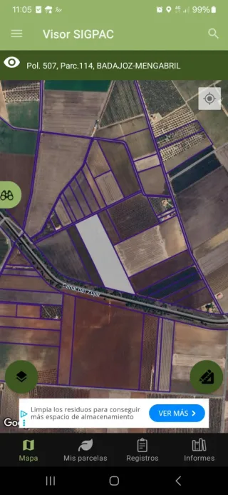 Dos parcelas contiguas. 5,5 Hectáreas en Mengabril