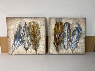 Cuadros Decorativos Plumas Set 2