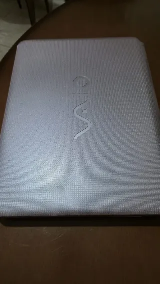 Portátil Sony VAIO Rosa/Plateado