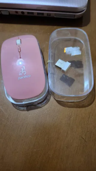 Portátil Sony VAIO Rosa/Plateado