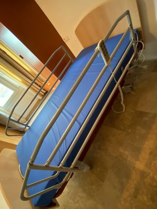 Cama Hospitalaria Eléctrica Articulada
