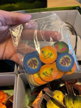 Juego de mesa Photosynthesis