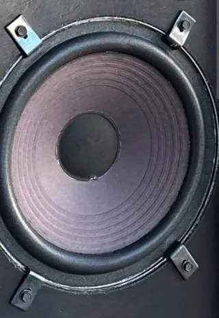 Altavoces Vieta 8" (20 cm) pareja Woofers 60W.