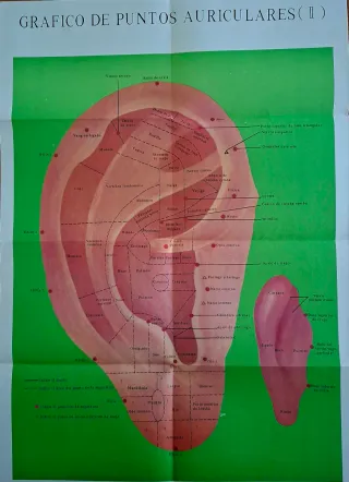 Laminas de auriculoterapia y de regalo curso.