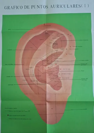 Laminas de auriculoterapia y de regalo curso.