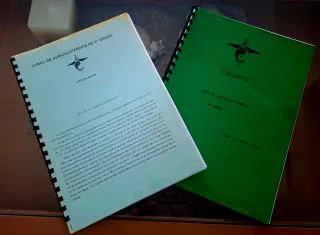 Laminas de auriculoterapia y de regalo curso.