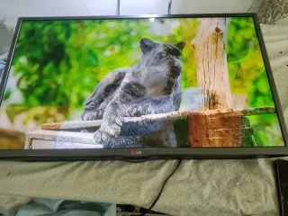 TV LG 32 HD Gris