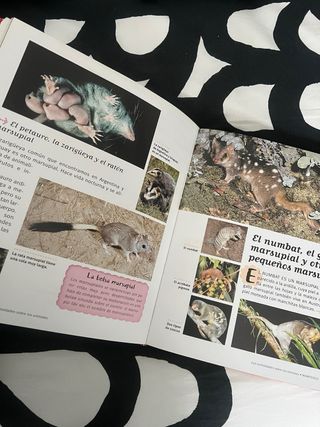 250 curiosidades sobre los animales