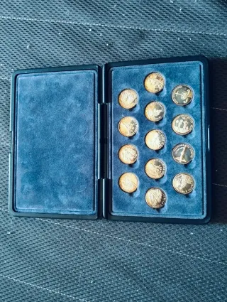 Arras de plata 13 monedas