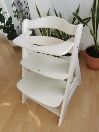 Trona evolutiva Hauck.