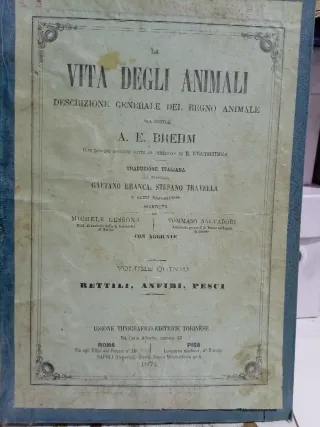 La Vita degli Animali - Brehm - Vol. VI
