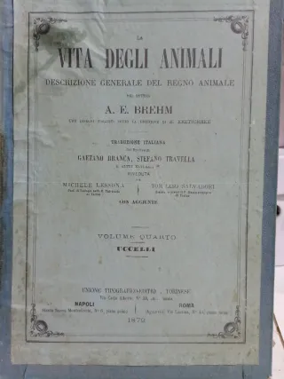 La Vita degli Animali - Brehm - Vol. VI