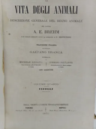 La Vita degli Animali - Brehm - Vol. VI