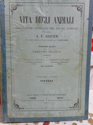 La Vita degli Animali - Brehm - Vol. VI