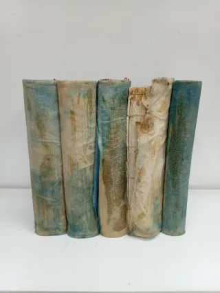 La Vita degli Animali - Brehm - Vol. VI