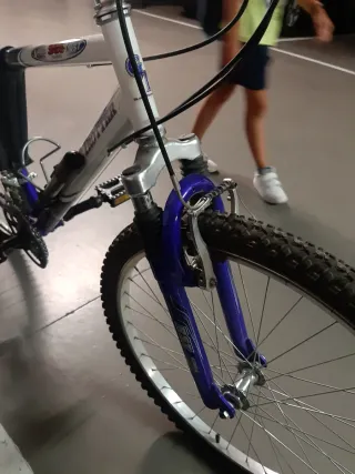 Bicicleta de Montaña