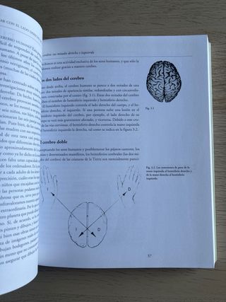 Nuevo aprender a dibujar (Spanish Edition)