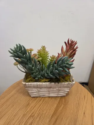 Arreglo Suculentas Artificiales