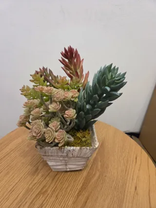 Arreglo Suculentas Artificiales