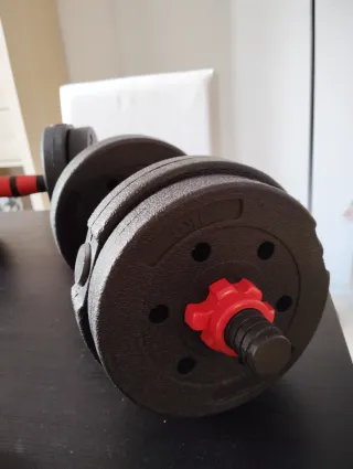 Kit Mancuernas Ajustables