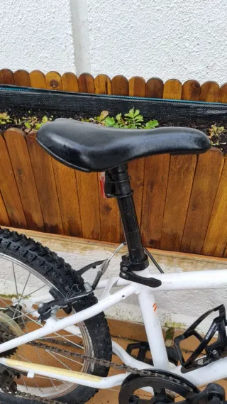 Bici infantil Rockrider 120 (20)