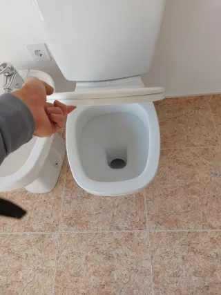 Inodoro y videl Gala (sanitarios)