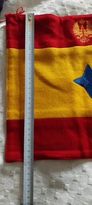 Bandera antigua con escudo y estrella