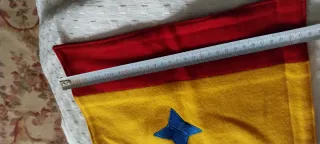 Bandera antigua con escudo y estrella