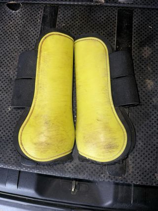 Orejeras y protectores para caballo