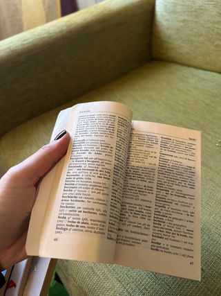 Dizionario lo spagnolo per tutti Parte seconda