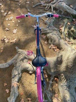 Bicicleta Infantil BTWIN Azul y Rosa