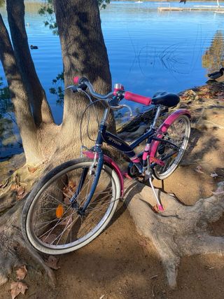 Bicicleta Infantil BTWIN Azul y Rosa