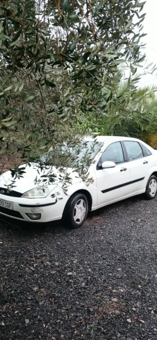 Ford Focus 2003