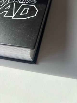 The Walking Dead nº 01/08