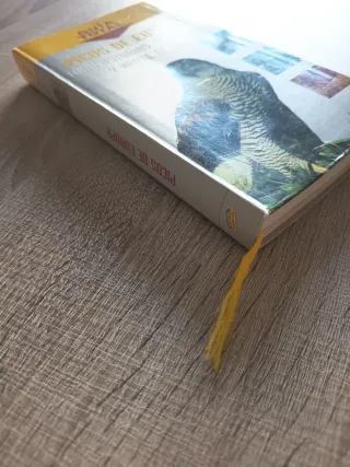 Picos De Europa/ Peaks of Europe (Spanish Edition)