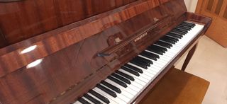 Piano Vladimir de Pared Vertical