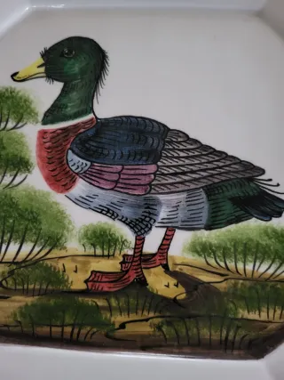 Piatto in ceramica con anatra